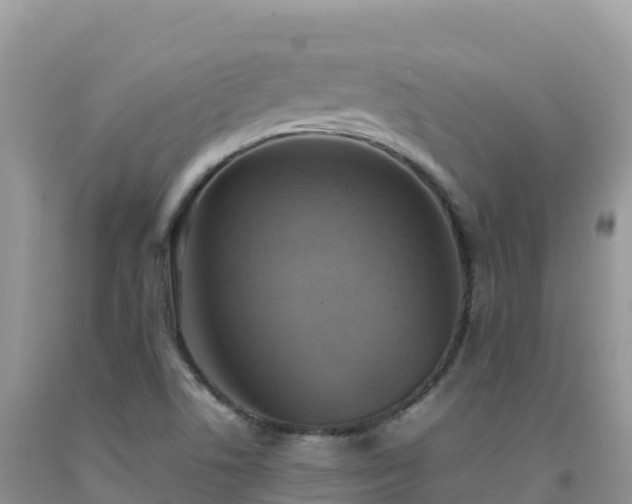 X0000092091506200709191234