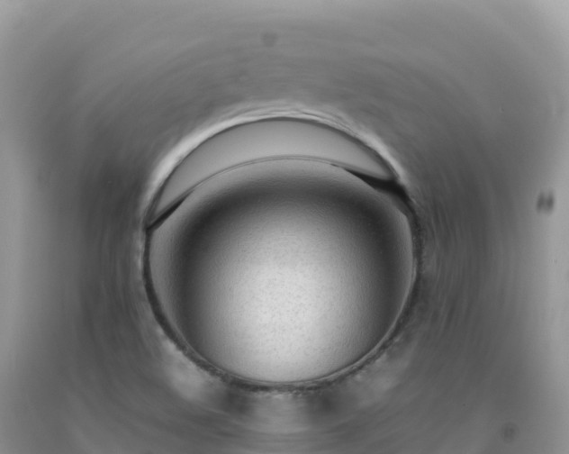 X0000092091508200709191234