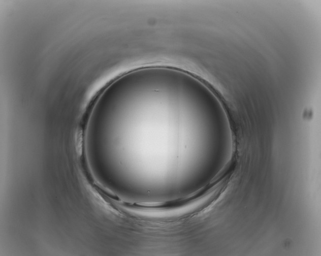 X0000092091510200709191234