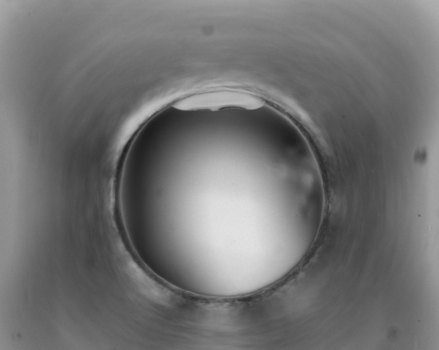 X0000092091512200709191234