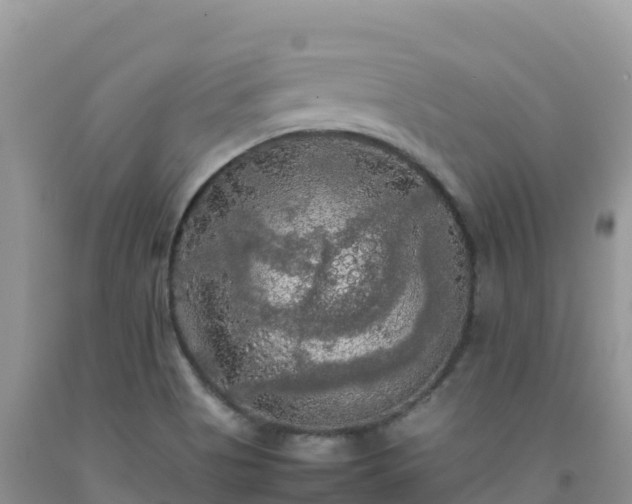 X0000092091513200709191234