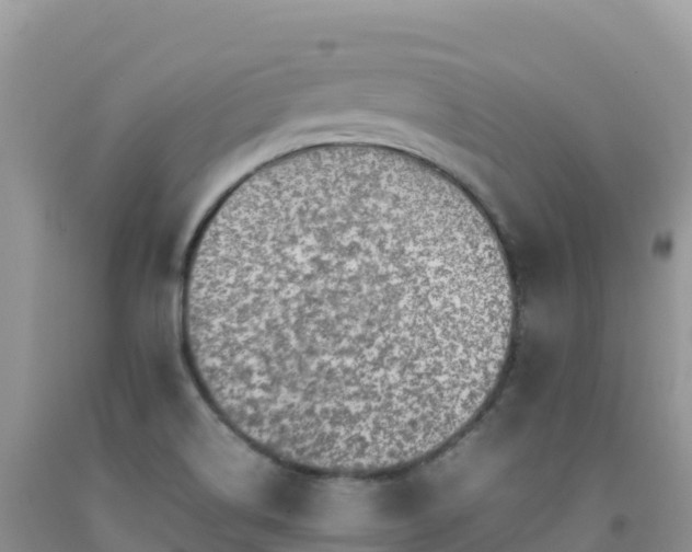 X0000092091514200709191234