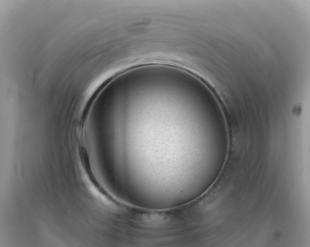 X0000092091515200709191234