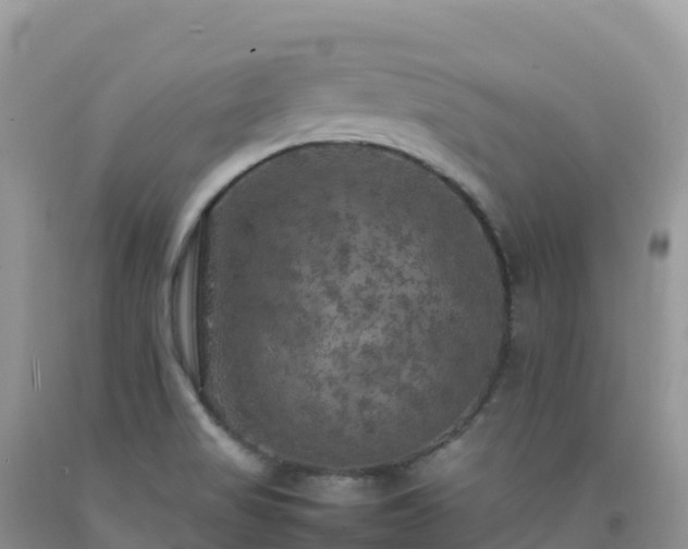 X0000092091517200709191235