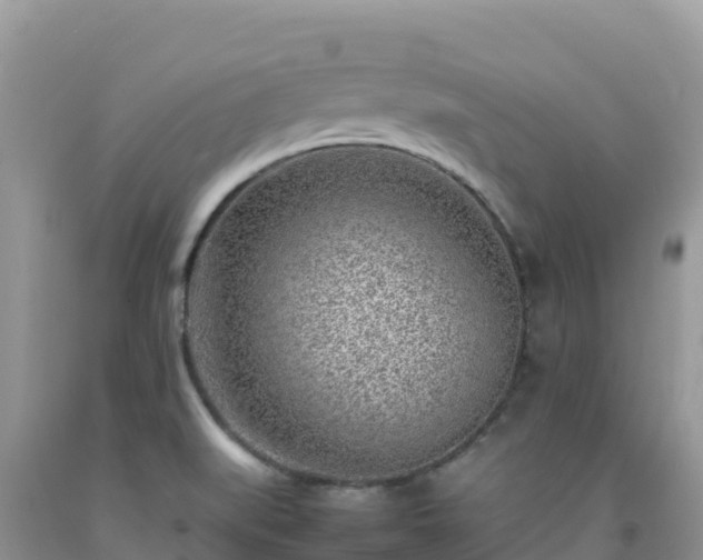 X0000092091519200709191235