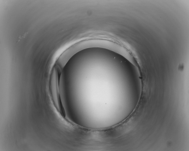 X0000092091520200709191235