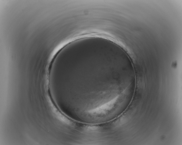 X0000092091522200709191235