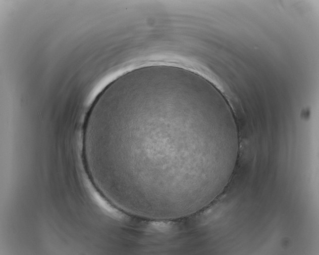 X0000092091523200709191235