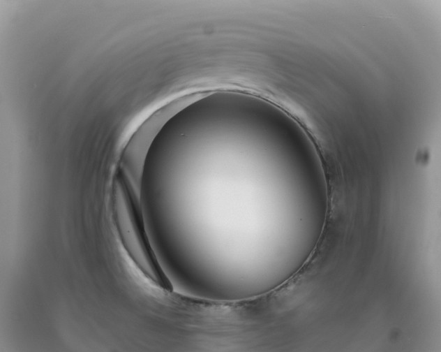 X0000092091524200709191235