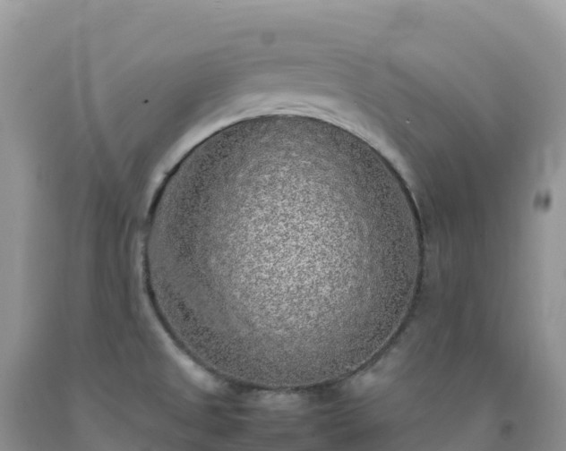 X0000092091525200709191235