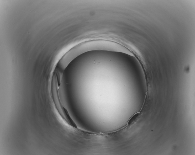 X0000092091528200709191235