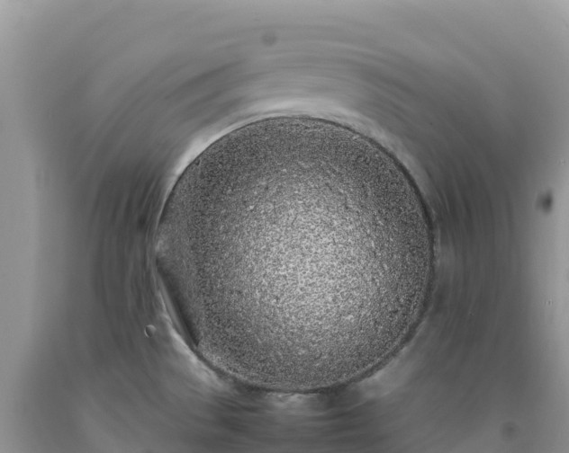 X0000092091529200709191235