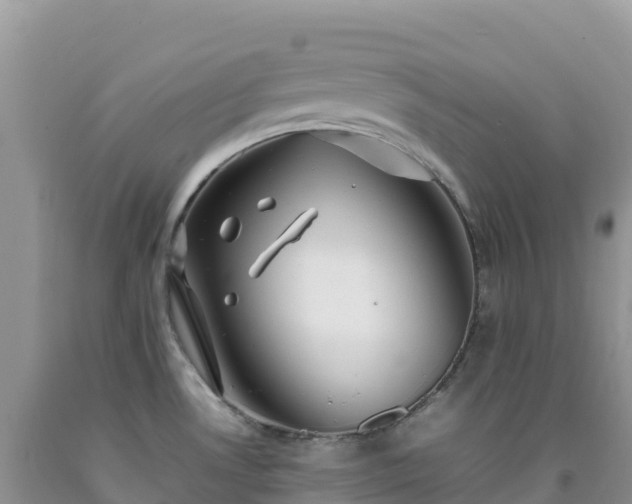 X0000092091530200709191235