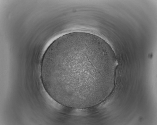 X0000092091531200709191235