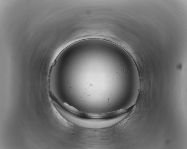X0000092091532200709191235