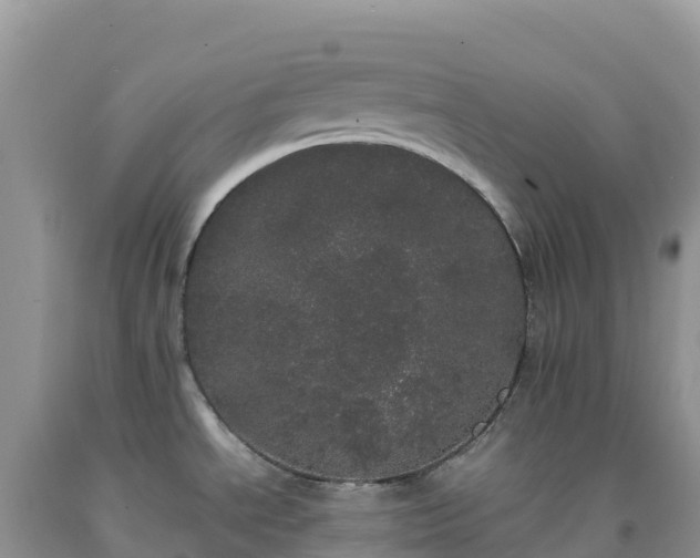 X0000092091534200709191235