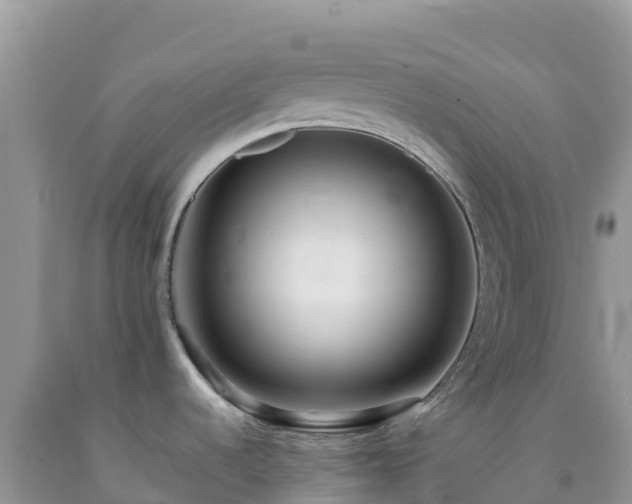 X0000092091536200709191235