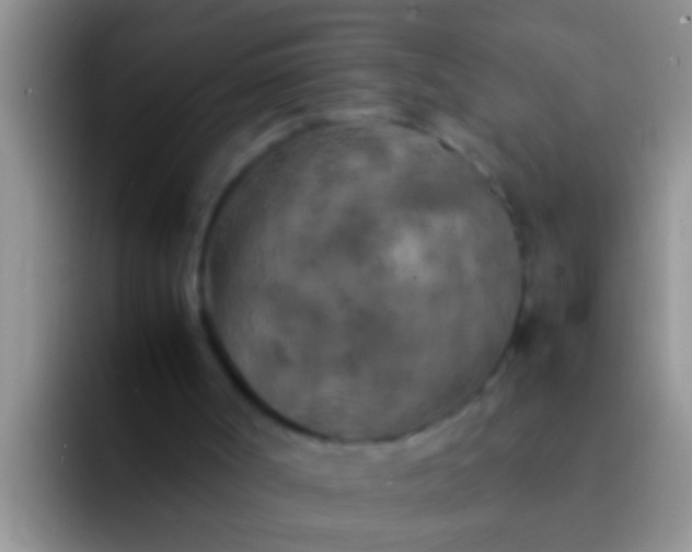 X0000092090002200709262131