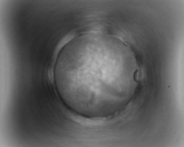 X0000092090004200709262131