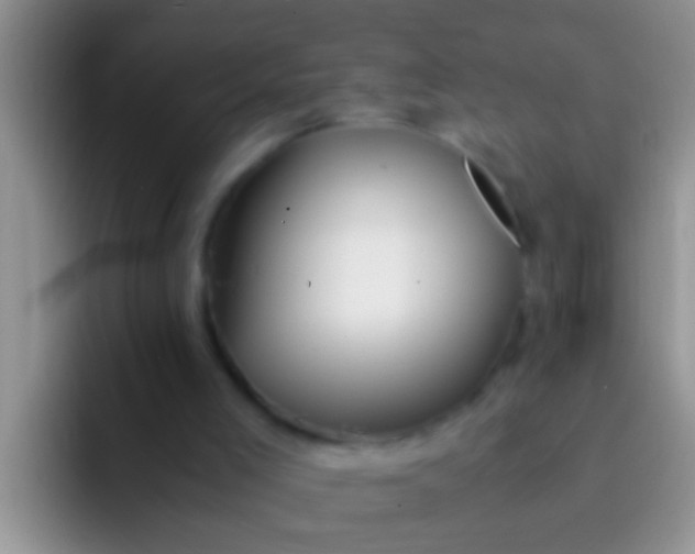 X0000092090005200709262131
