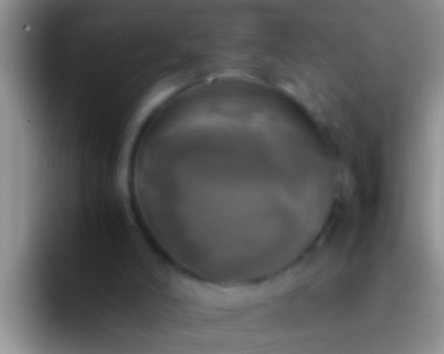 X0000092090006200709262131
