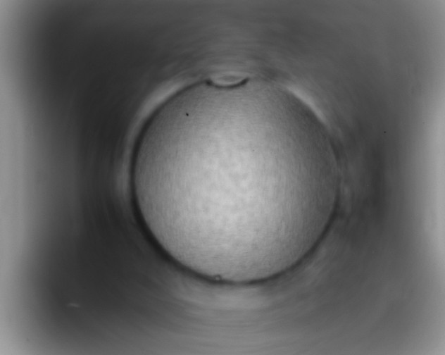 X0000092090008200709262131