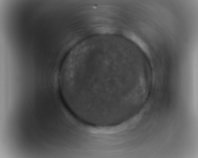 X0000092090009200709262131
