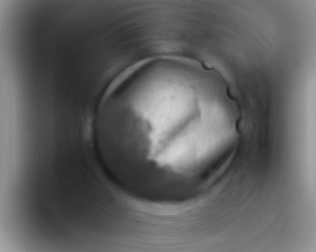 X0000092090010200709262131