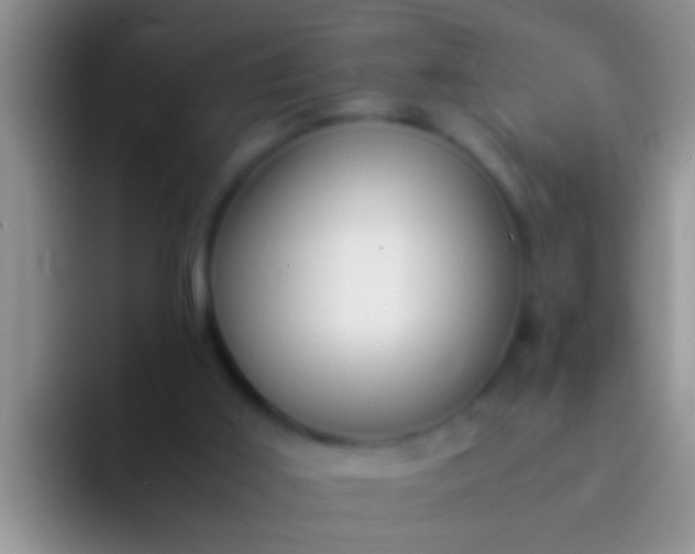 X0000092090011200709262131