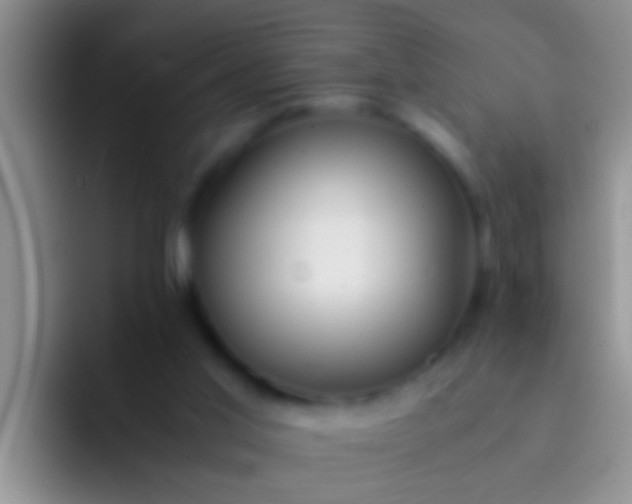 X0000092090013200709262131