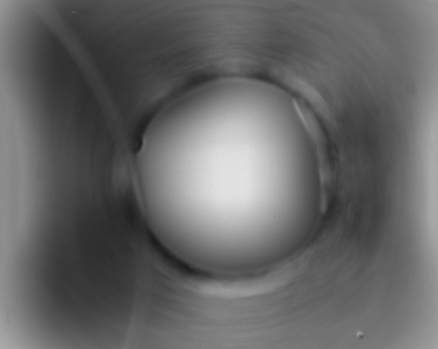 X0000092090017200709262131