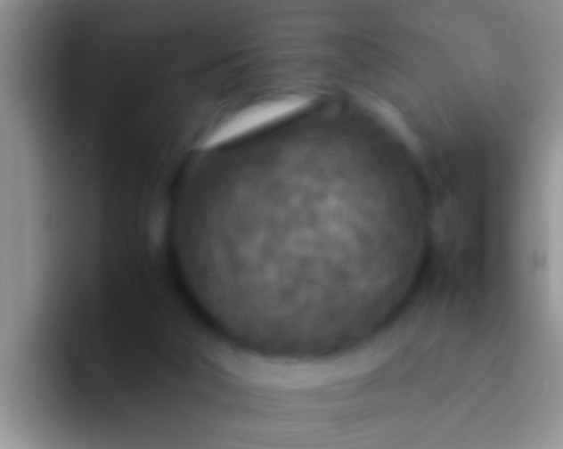 X0000092090018200709262131