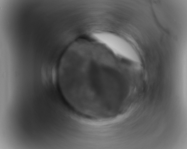 X0000092090019200709262131