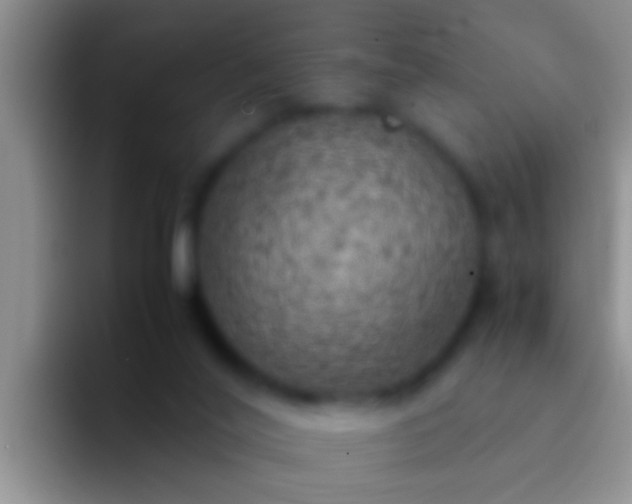 X0000092090020200709262131