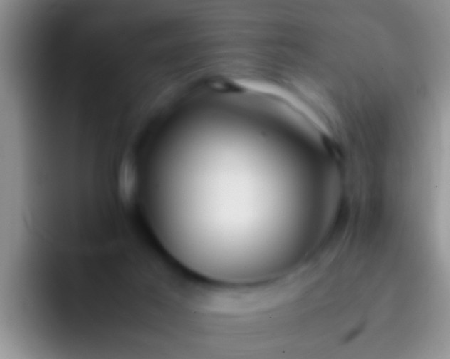 X0000092090021200709262131