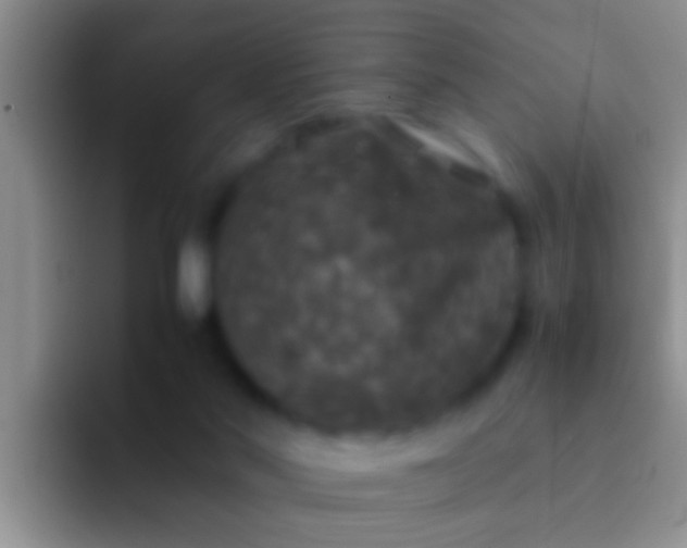 X0000092090022200709262131
