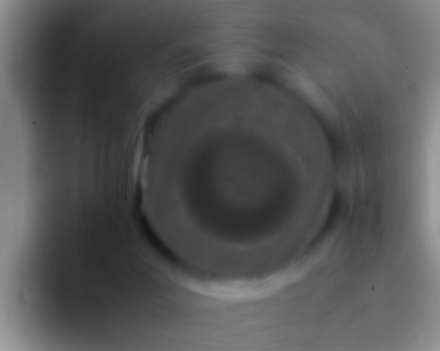 X0000092090023200709262131