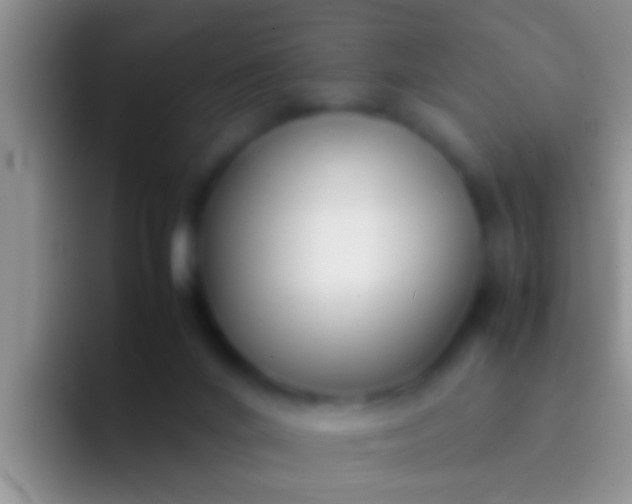 X0000092090024200709262131