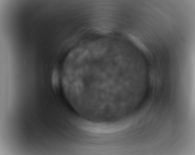 X0000092090026200709262131