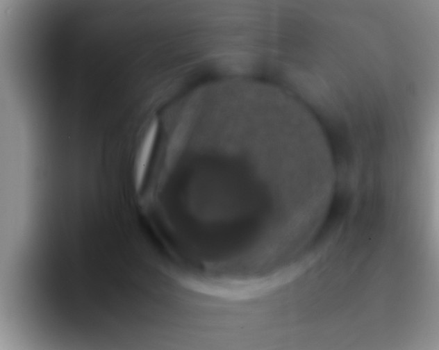 X0000092090027200709262131