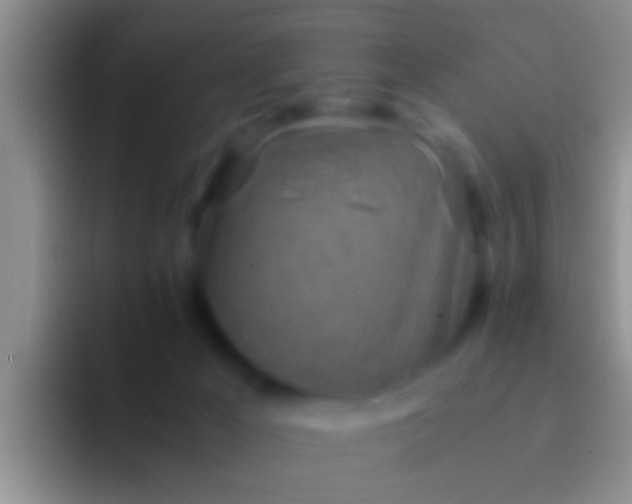 X0000092090029200709262131