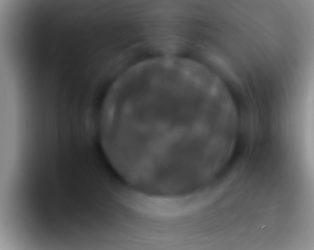 X0000092090030200709262131