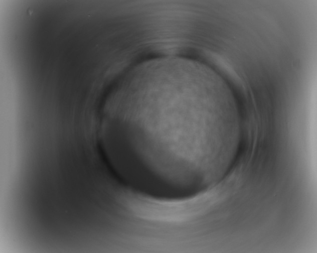 X0000092090031200709262131