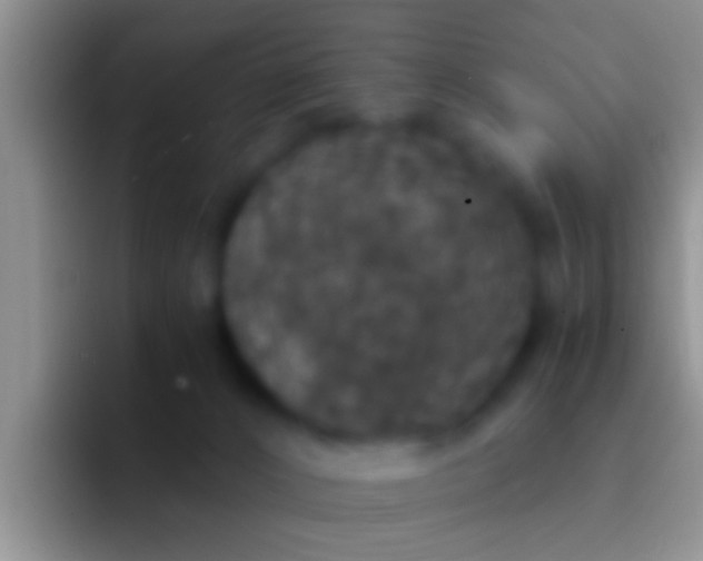 X0000092090032200709262131