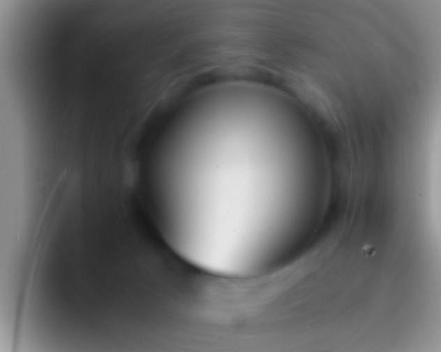 X0000092090033200709262131