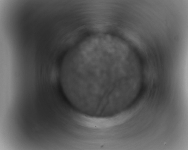 X0000092090034200709262131
