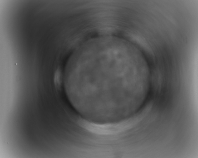 X0000092090038200709262131