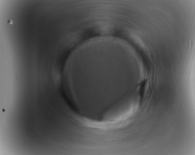 X0000092090039200709262131