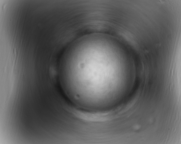 X0000092090040200709262131