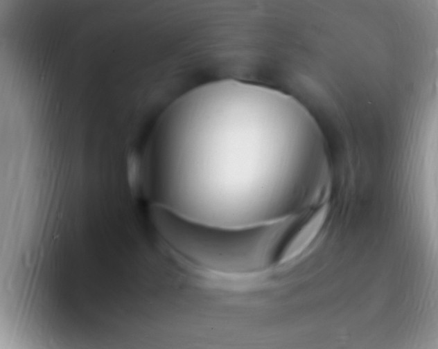 X0000092090041200709262131